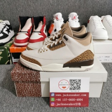 Air Jordan 3 “Palomino” CT8532-102