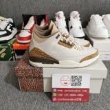 Air Jordan 3 “Palomino” CT8532-102