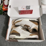 Air Jordan 3 “Palomino” CT8532-102