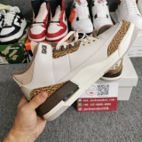 Air Jordan 3 “Palomino” CT8532-102