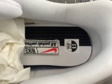N*ike Air Max 1 “All Petals United” FQ0256-131