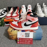 Air Jordan 1  DV1748 601