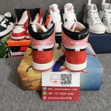 Air Jordan 1  DV1748 601