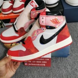 Air Jordan 1  DV1748 601