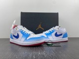 Air Jordan 1 Low  FN8895-141