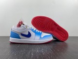 Air Jordan 1 Low  FN8895-141