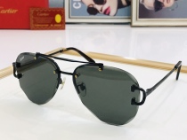 C*artier Glasses Top Quality