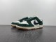 N*ike Dunk Low “SKU” FQ8893-397