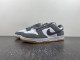 N*ike Dunk Low FV0389-100