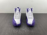 Air Jordan 12 Retro CT8013-150