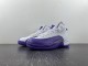 Air Jordan 12 Retro CT8013-150
