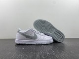 N*IKE Dunk Low DH9756-102