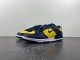 Dunk Low Disrupt 2 DV4024-400