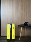 Luggage ask price on whatsapp