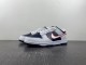 N*ike Dunk Low “Houston Comets Four-Peat” 97 98 99  DZ2780-100