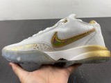 N*ike LeBron 20 LBJ20  DJ5422-002