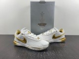 N*ike LeBron 20 LBJ20  DJ5422-002