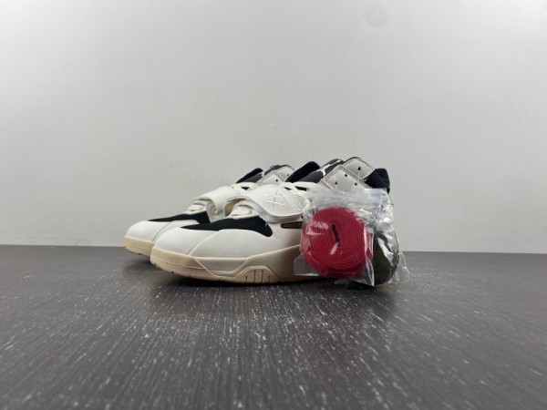 AIR JORDAN 1 LOW FZ8117-041