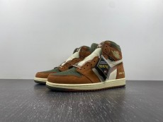 AIR JORDAN 1  Gore-Tex Jordan 1 High DB2889-100