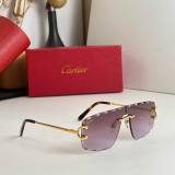 C*artier Glasses Top Quality