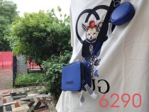 C*oach Top Bag  20*12*5CM