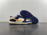 N*ike D*unk Low Retro  FV8106-181