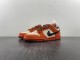 N*ike D*unk Low Premium SB 'Un- Hemp'  313170-101