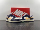 N*ike D*unk Low Retro  FV8106-181