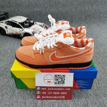 Concepts x N*ike SB Dunk Low FD8776-800