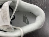 N*ike SB Dunk LOW