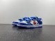 N*ike SB Dunk LOW FD9064-110