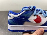 N*ike SB Dunk LOW FD9064-110