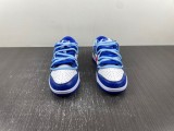 N*ike SB Dunk LOW FD9064-110