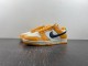N*ike Dunk SB Low Wear and Tear  FN3418-100