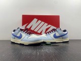N*ike SB Dunk LOW “From Nike To You”  FV8113-141