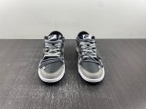 N*ike SB Dunk LOW