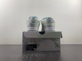 N*ike SB Dunk Low DV0831-101