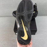 Air Foamposite One