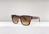 L*ouis V*uitton Glasses Top Quality