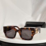 C*eline Glasses Top Quality