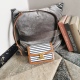 C* eline Bag Top Quality 18.5*14*6CM