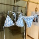 Women Swimsuit