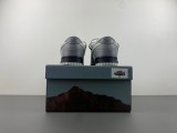 N*ike SB Dunk LOW  DV0831-101