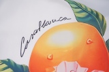 C*ASABLANCA  Top Quality Clothes
