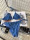 Women Swimsuit
