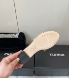 Women D&G Top Quality Sandals