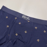 Underpants Top 3 Pieces