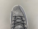 Air Jordan 12 130690-005