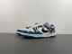 N*ike SB Dunk LOW DV0834-101