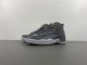 Air Jordan 12 130690-005